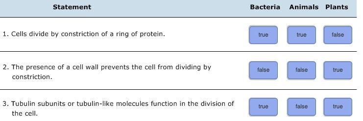 Plant and animal cells also require cytoskeletal proteins for cytokinesis, although-example-1