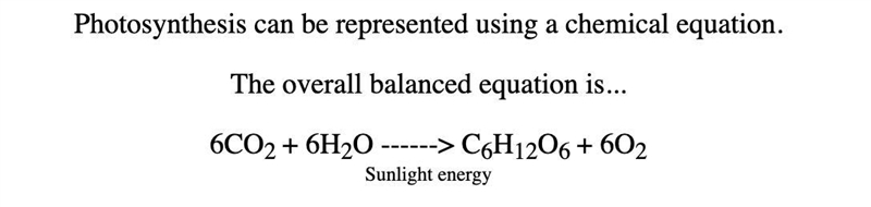 Which of the following equations represents the right chemical process that occurs-example-1