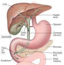 Mrs. F has a history of mild heart problems, but she has been admitted to the medical-example-1