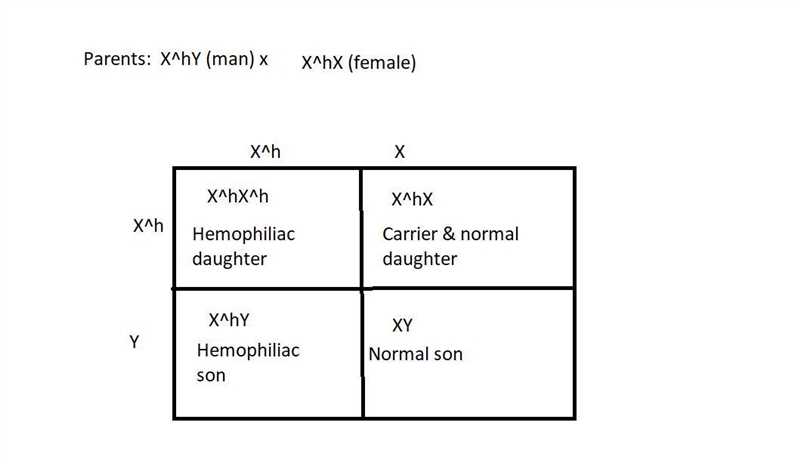 Hemophiliacs have blood that does not coagulate well, and they often die at a young-example-1