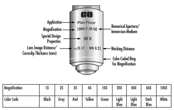 How can you choose which type of objective lens is best for your specimen ?-example-1