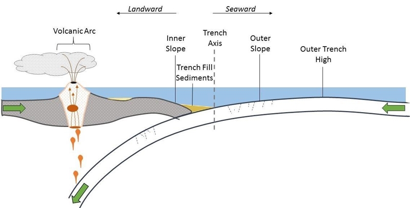 Ocean trenches form over millions or billions of years. Which statement accurately-example-1