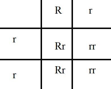 1. In goldfish, golden scales is a dominant trait. Use G to represent the dominant-example-2