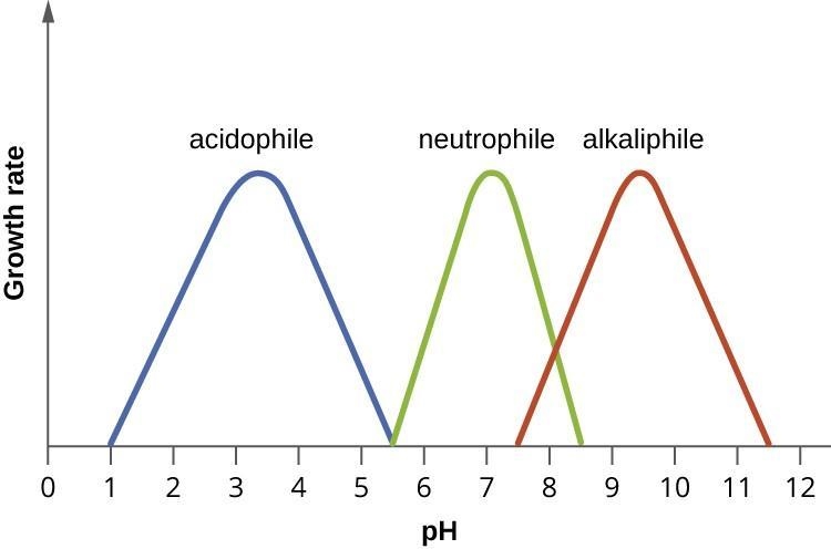 All foods can be measured on the pH scale to determine if they have the right amount-example-1