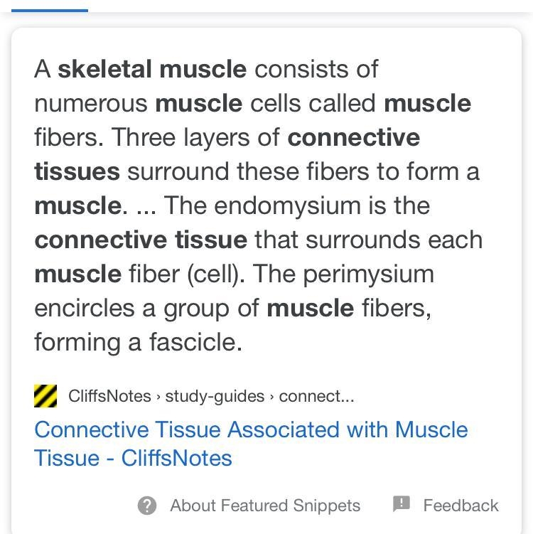 Describe how connective tissue is part of a skeletal muscle-example-1