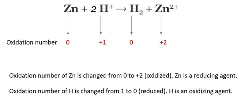 Which of the following statements describes what happens to a molecule that functions-example-1