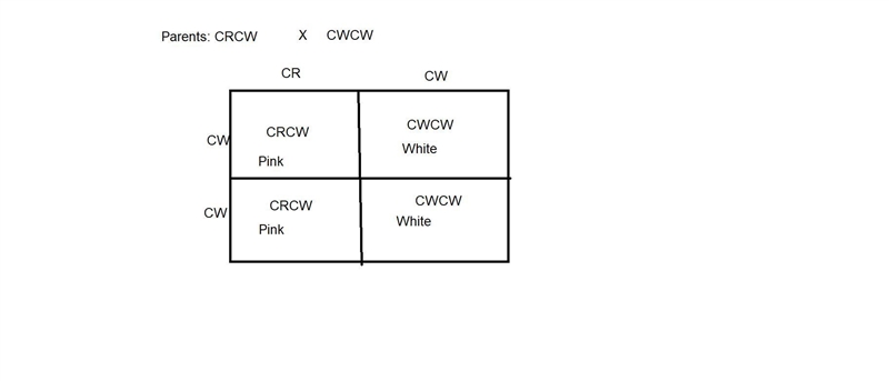 Flower color in snapdragons is due to a gene with incomplete dominance: CRCR plants-example-1