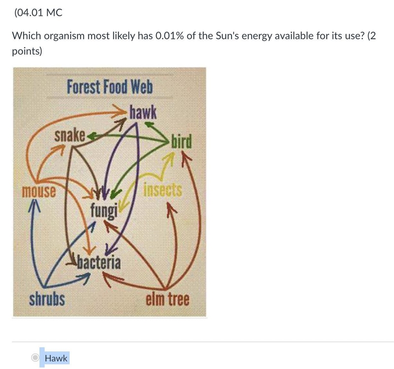 Which organism most likely has 0.01% of the Sun's energy available for its use?-example-1