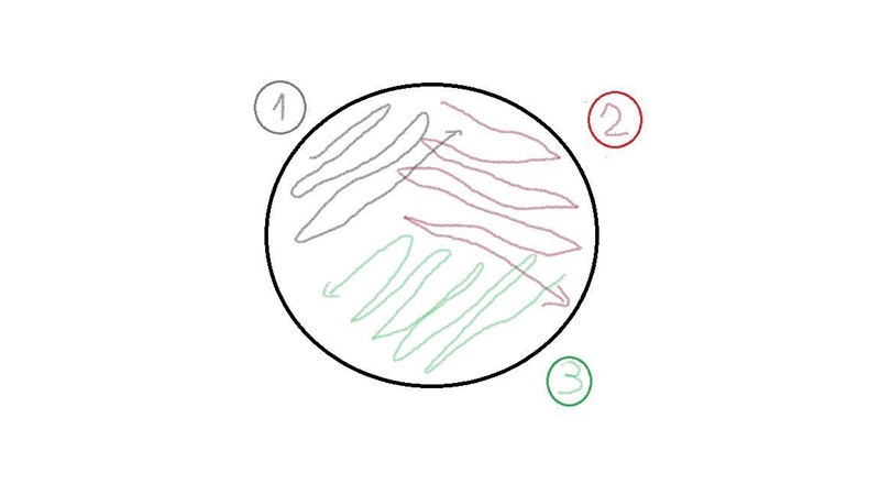 A student is provided with a pure culture and asked to make a three-phase streak plate-example-1