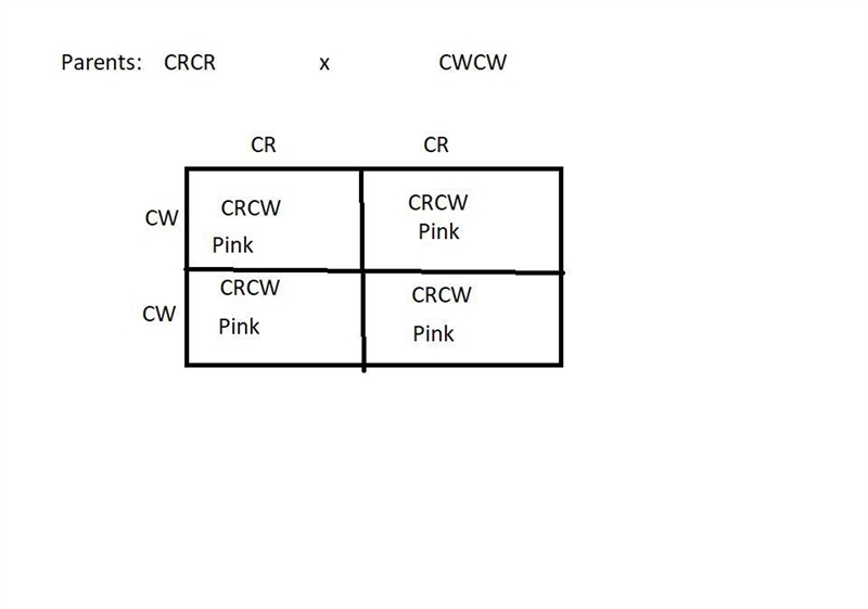 Flower color in snapdragons is due to a gene with incomplete dominance: CRCR plants-example-1