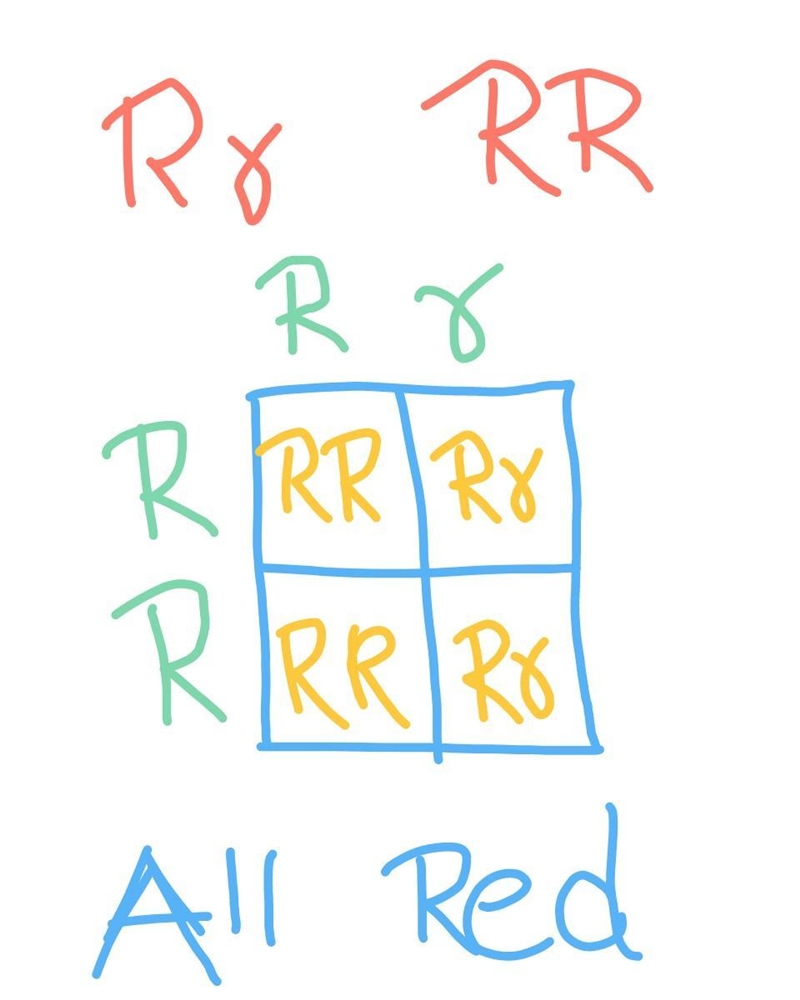 Red (heterozygous) x red (homozygous) ________ (all red; 3 red, 1 white; all white-example-1