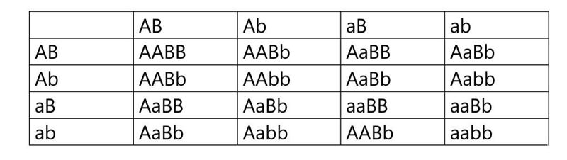 In genetics, the dash symbol (–) is a “wild card” that stands for either the dominant-example-1