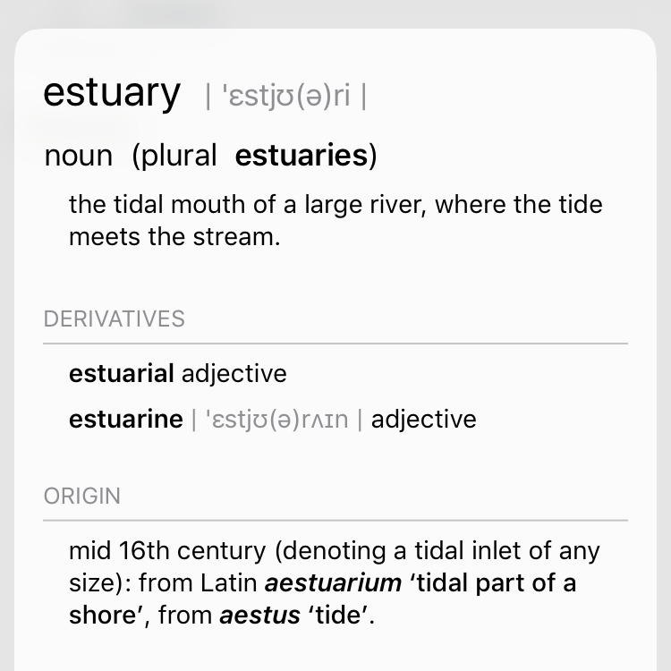 1. Define estuary . .-example-1