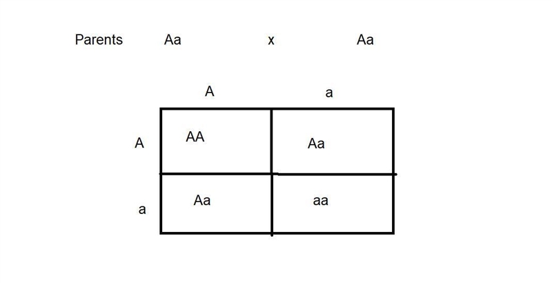 Breeders can use a Punnett square, such as the one below, to predict the outcome of-example-1