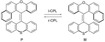 Which of the following statements about molecular switches is false? (a) Phosphatases-example-1