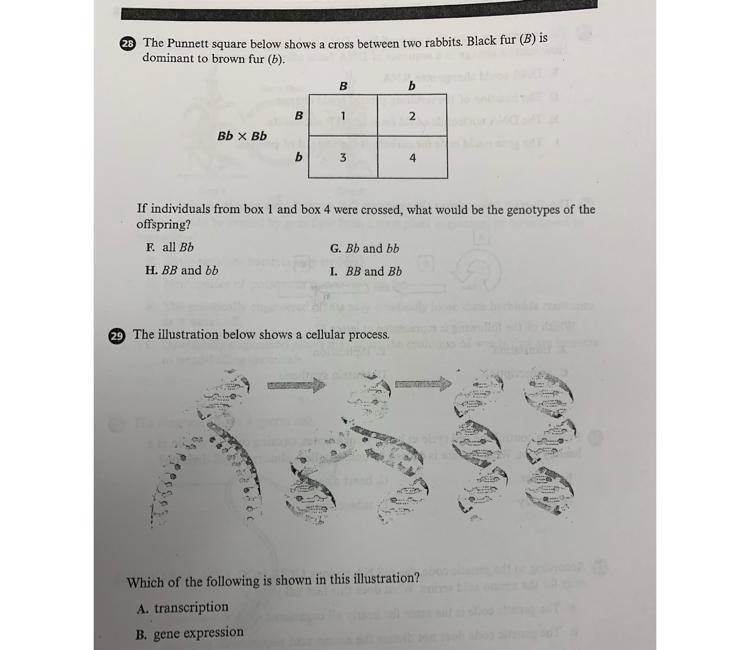 Please help me with my biology packet :(-example-1