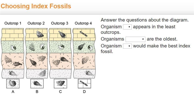 Answer the questions about the diagram. The organism appears in the least outcrops-example-1