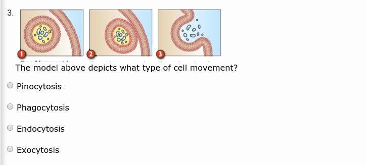 HELP ME PLZ!!!!!!!! BIOLOGY!!!!!-example-3