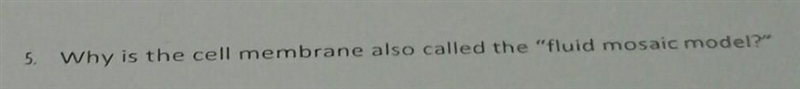 Please help me.....and please explain too.​-example-1