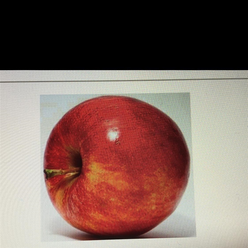 When apples were introduced to North America some individuals of a species of maggots-example-1