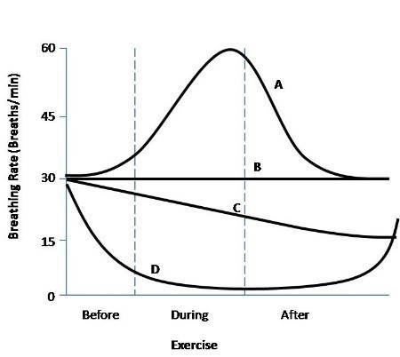 Which line in the graph above best illustrates an effect of the carbon dioxide level-example-1