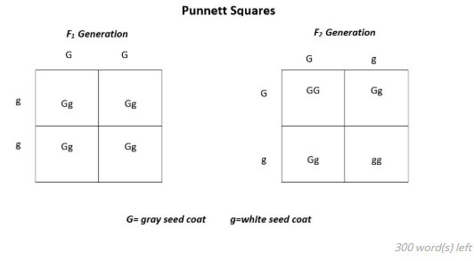 (PLEASE HELP)Using the Punnett square diagrams, answer the following questions: (a-example-1