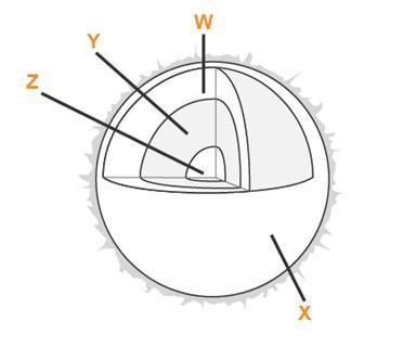 Below is a diagram of the Sun. Bettina wants to place a circular arrow in one layer-example-1