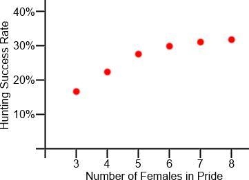 Why does living in a pride help in the survival of the species overall? It increases-example-1