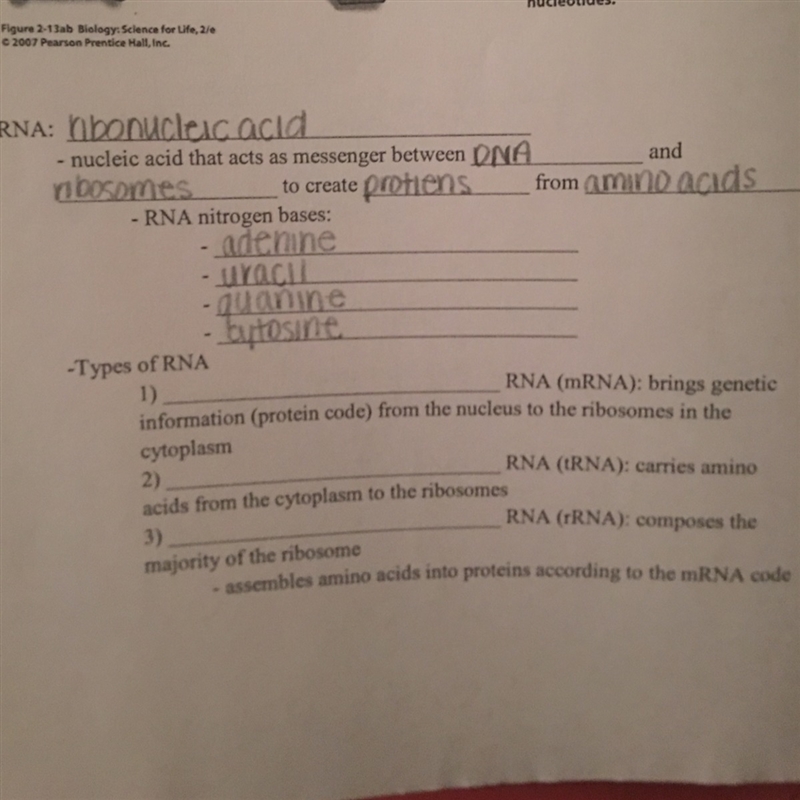 Help me fill in 1, 2, 3 on my notes?-example-1