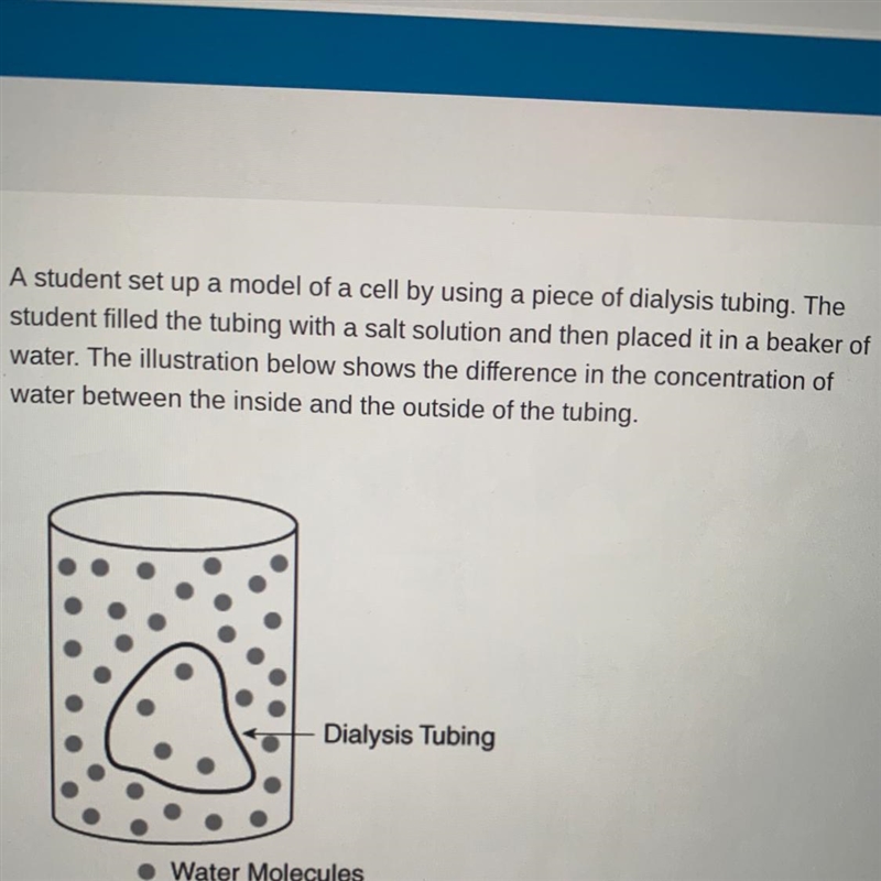 Predict what will happen to the model of the cell in this experiment-example-1