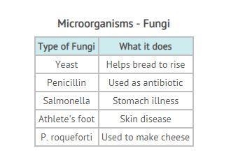 Lamont and his lab partner were filling out a worksheet on microorganisms. The table-example-1