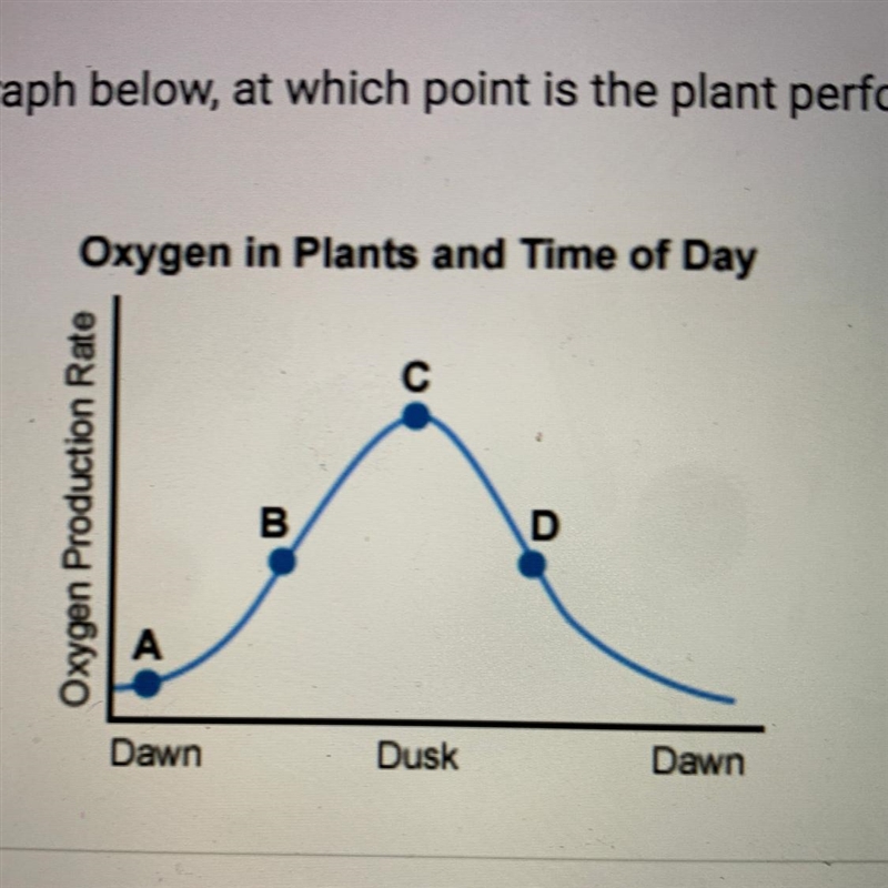 According to the graph below, at which point is the plant performing the least photosynthesis-example-1