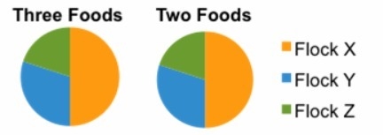 Hypothesis: If the type of the food available changes, then the frequency of beak-example-1