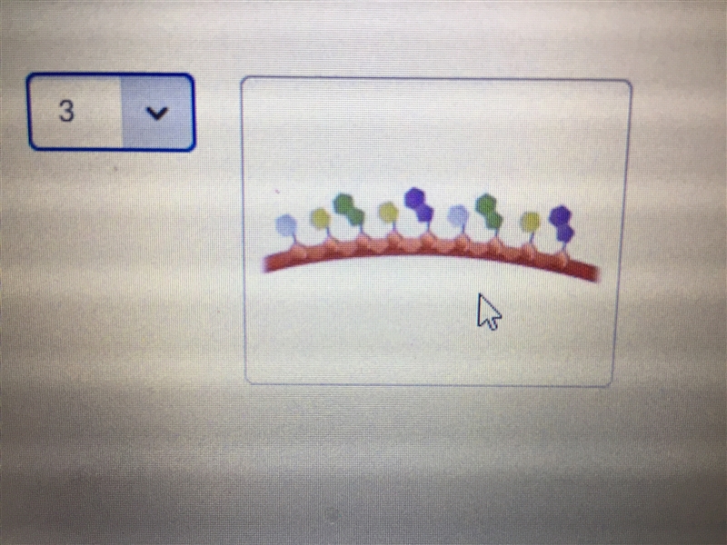 Is this mRNA or rna need help please need the answer in a hurry-example-1