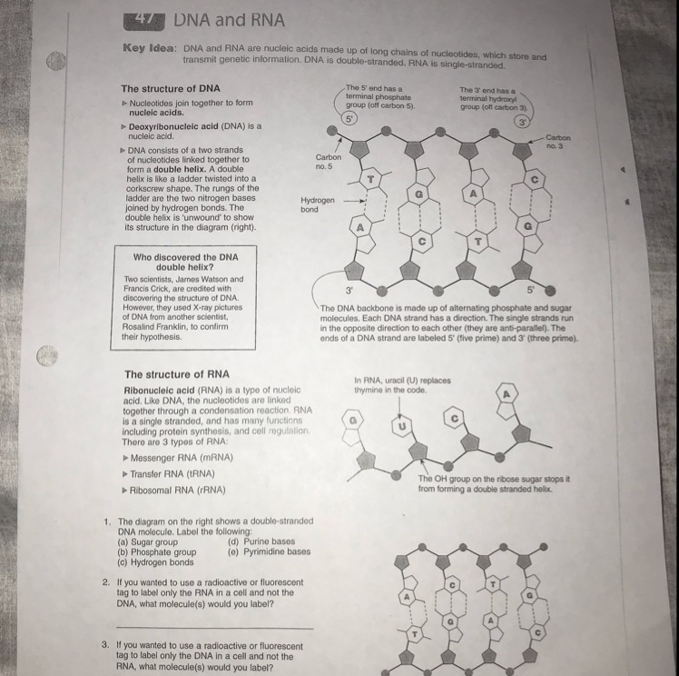 Please help there’s 3 questions at the bottom left.-example-1