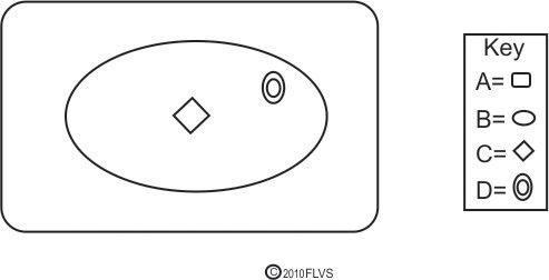 Brenda made the heliocentric model shown below to represent the sun, universe, Mercury-example-1