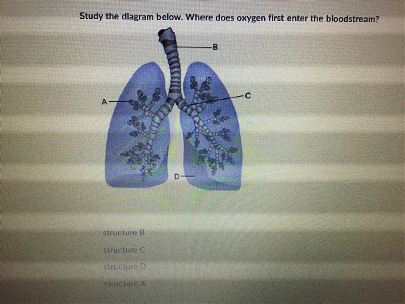 Need help on this question need the answer really fast-example-1