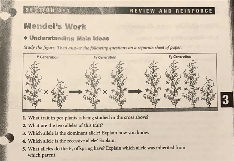 I need help with these-example-1