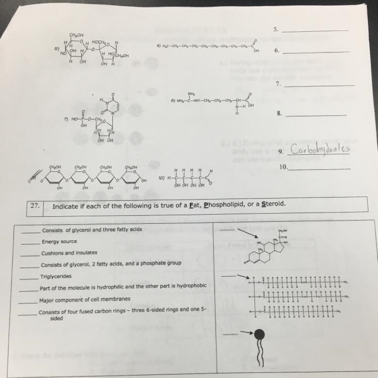 Biomolecules biology help please-example-1