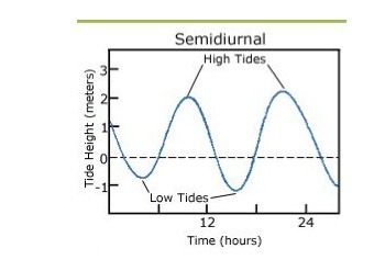 Most coastal areas on Earth experience two high tides and two low tides every lunar-example-1