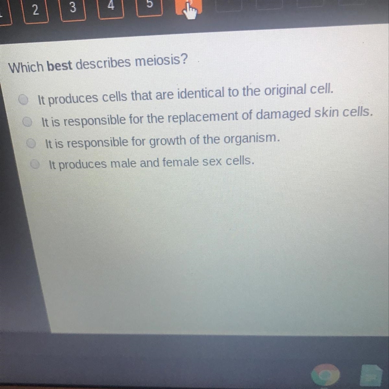 Which best describes meiosis-example-1