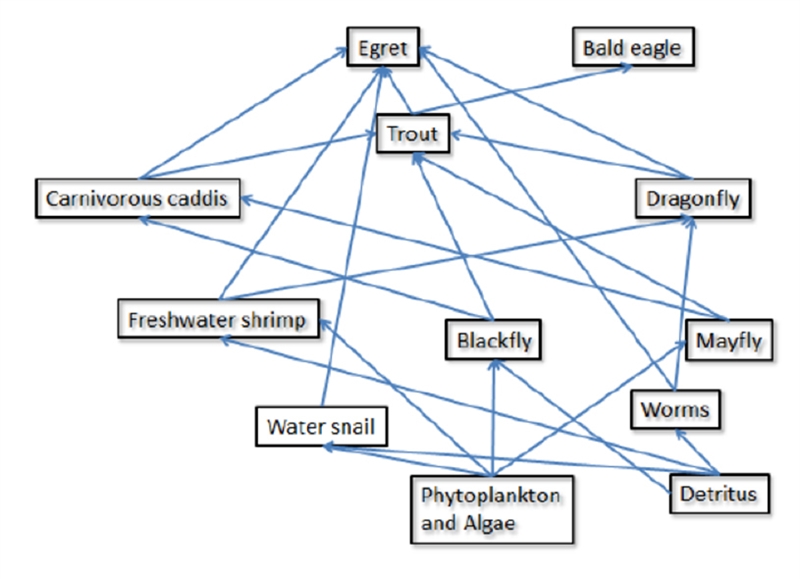 How many trophic levels are in this food web? A 5 B 3 C 4 D 6-example-1