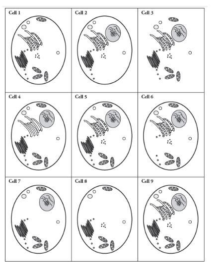 27 pointing please help bio-example-1