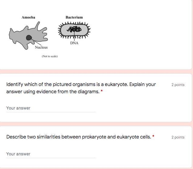 27 pointing please help bio-example-4