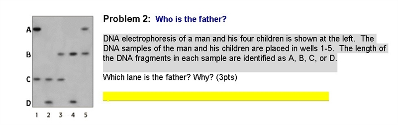 Which lane describes the father?-example-1