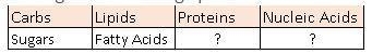 The table below shows the building blocks of the macromolecules. Which building blocks-example-1