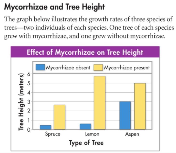 Help help (Contrast the growth of plants with Mycorrhizae versus without Mycorrhizae-example-1