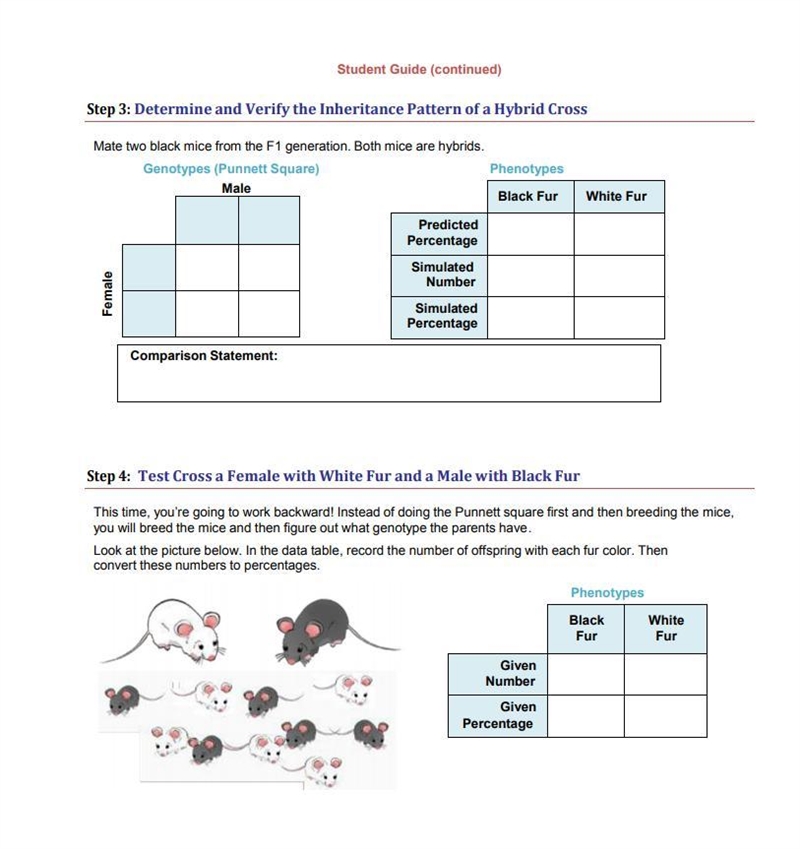 100 points for essay, please help.-example-3