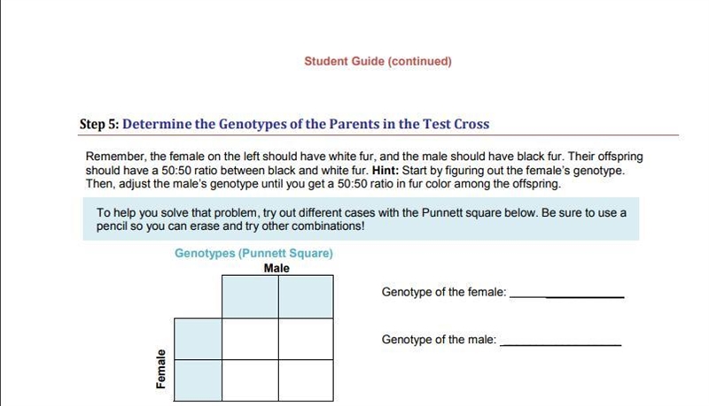 100 points for essay, please help.-example-4