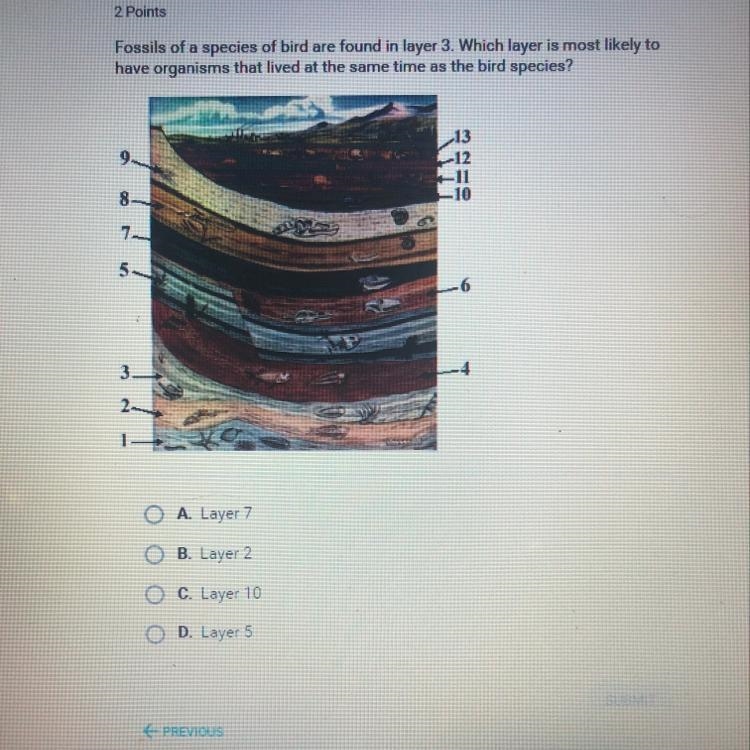 Fossils of a species of bird are found in layer 3. Which layer is most likely to have-example-1